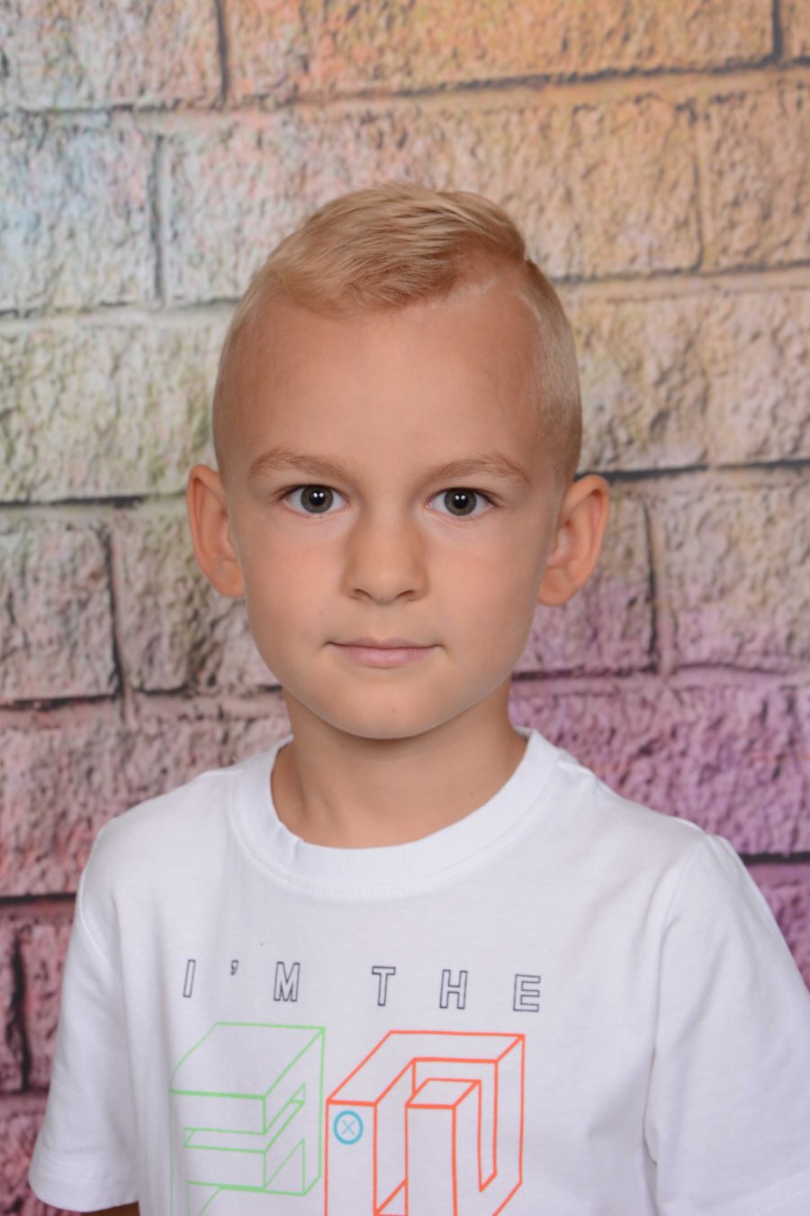Ścianki Portretowe